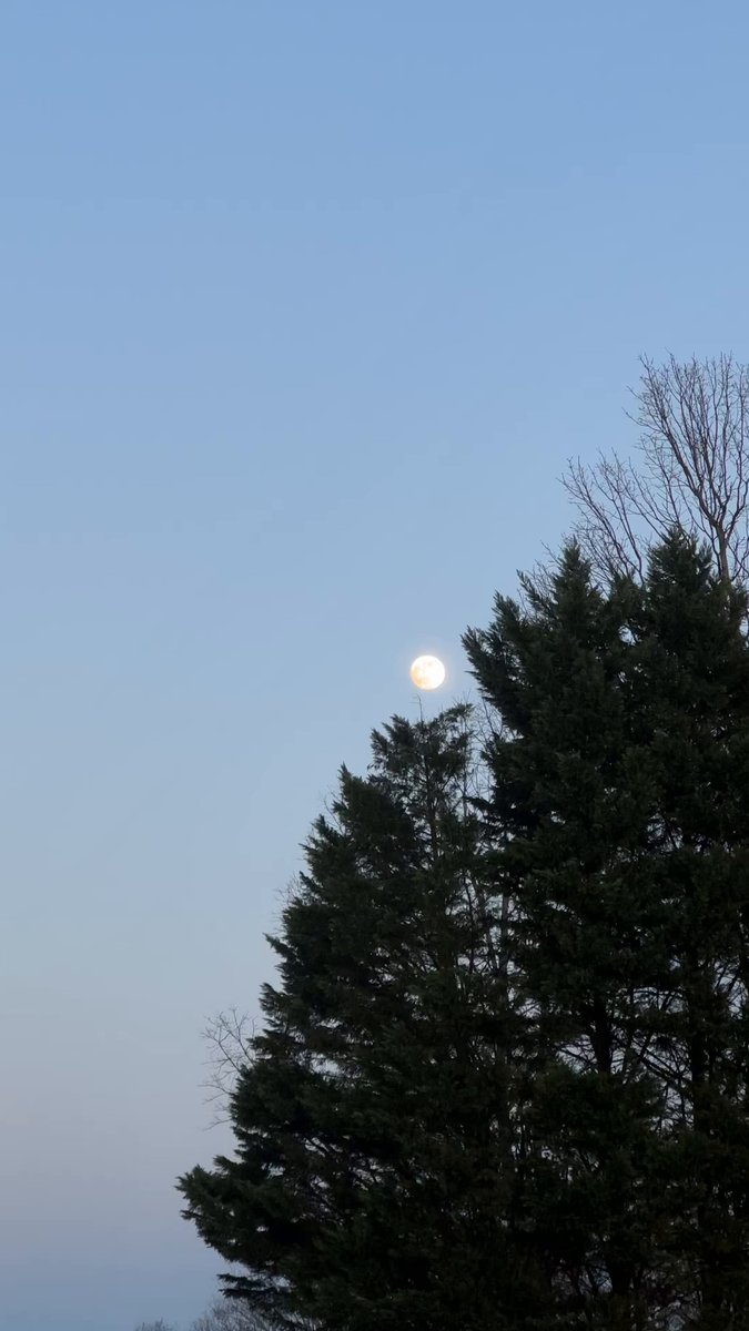 so i was taking a vid of the moon &amp; i was adjusting my camera at the beginning but why does it look like the moon is actually moving ??? pls someone explain before i freak out thanks