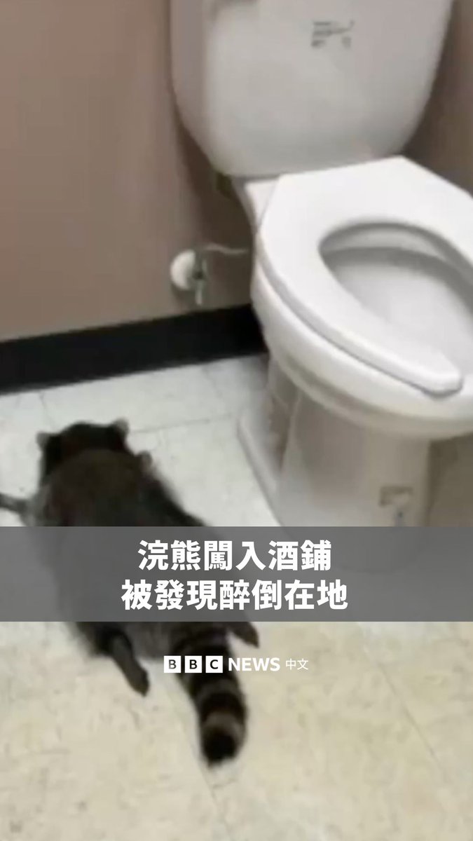 美国维吉尼亚州一家酒铺的员工上班时，看到满地碎裂的酒瓶和洒出的酒水，原以为商店遭到抢劫，结果罪魁祸首竟是一只喝醉酒的浣熊。 该商店指，该只浣熊先从天花板的瓷砖裂口掉进商店，接着大肆破坏、喝遍所有酒，在浴室里睡了数小时后，再被安全送回野外。