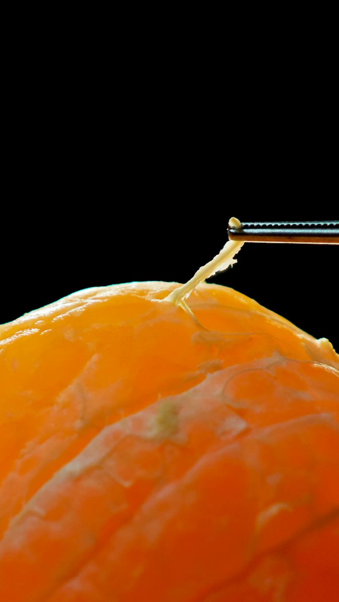 Tap in for the peel 🍊