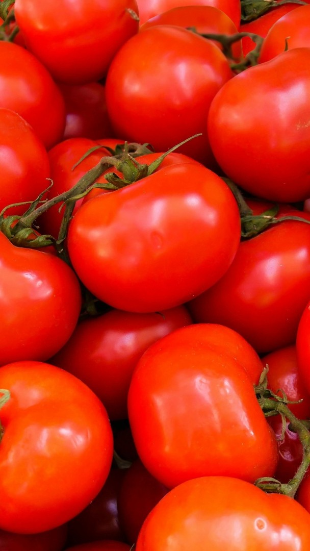 Les tomates chinoises, un échec en Europe 🍅 La Chine produit énormément de tomates… mais en consomme peu. Et elle n'arrive plus à les vendre en Europe depuis qu'un documentaire de la BBC a mis en lumière le travail forcé des Ouïghours pour la cueillette. 🎙️ Hélène Cornet