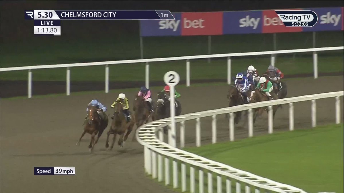 👀 Symbol Of Majesty (New Bay) is a half-sister to G1 scorer Commissioning & produces an incredible performance to score on debut Chelmsford City Racecourse