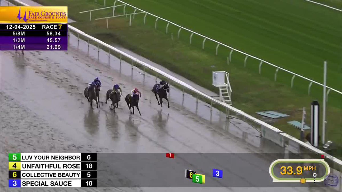 Paving gets up to win R7 at Fair Grounds Race Course & Slots under Jose Ortiz for trainer @tomamossracing! 🏇 🎥 #TwinSpiresReplay