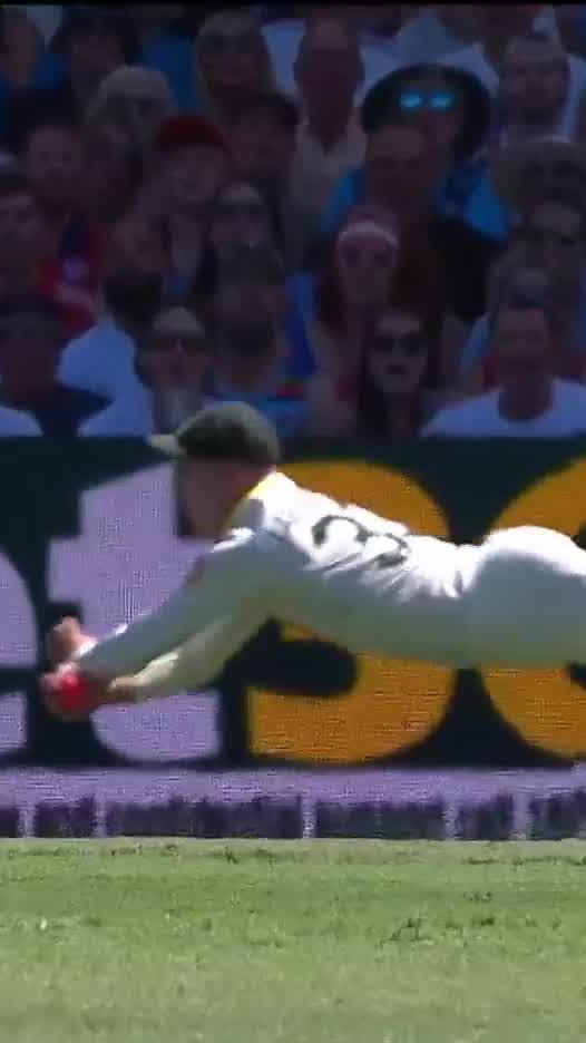 AN ABSOLUTE SCREAMER BY MARNUS LABUSCHAGNE. 🤯