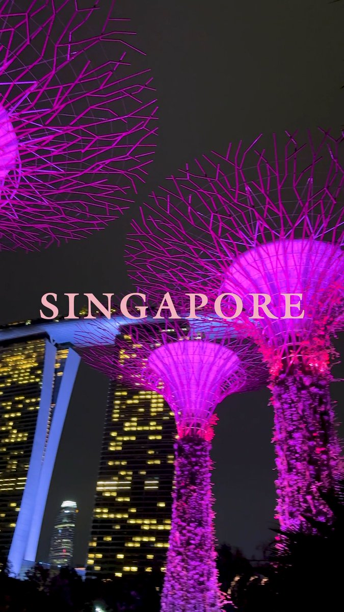 #BLACKPINK WORLD TOUR [DEADLINE] IN SINGAPORE 🌸 #블랙핑크 #WORLDTOUR #DEADLINE #DEADLINE_IN_SINGAPORE #YG