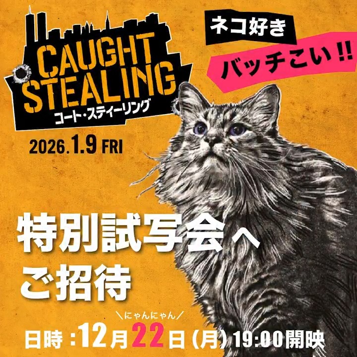 ＼🐈ネコ好き、バッチこい👊🐈／ 映画『#コート・スティーリング』 ネコ主催❓の特別試写会へご招待🎞️ フォロー＆本投稿リポストで応募 〆切:12/11(木) ＜詳細は連結投稿へ＞ ネコの世話をするだけのはずが… マフィアも警察も、皆の標的は俺⁉️ 🐈🐈🐈※ネコは無事です🐈🐈🐈