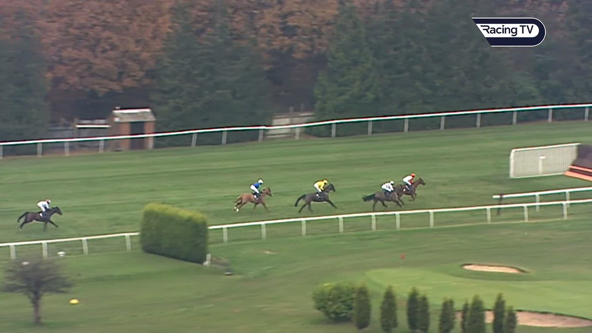 Different generations will have different opinions, but, IYO, who was the greatest TINGLE CREEK winner ever ❓ But this has to go down as one of the best renewals ever ⬇️