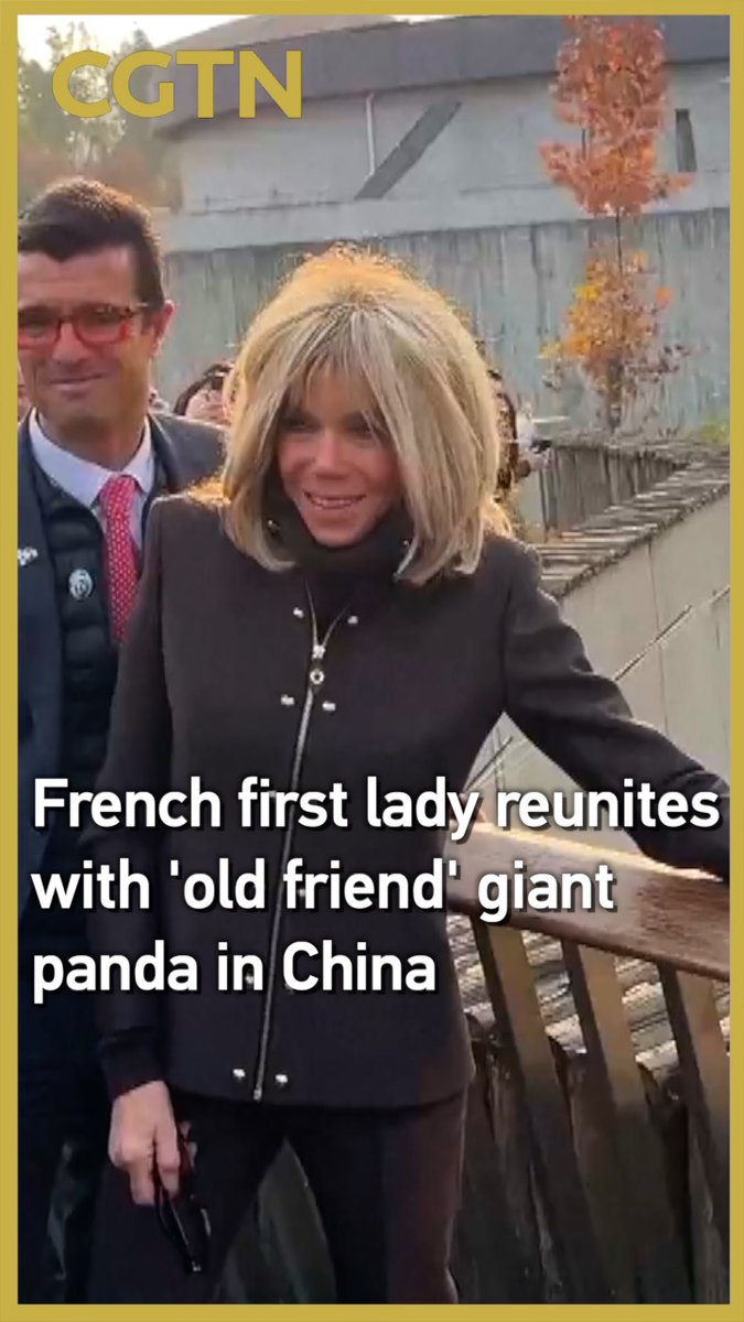 #French first lady Brigitte Macron reunites with her "old friend" giant #panda in Chengdu, #China