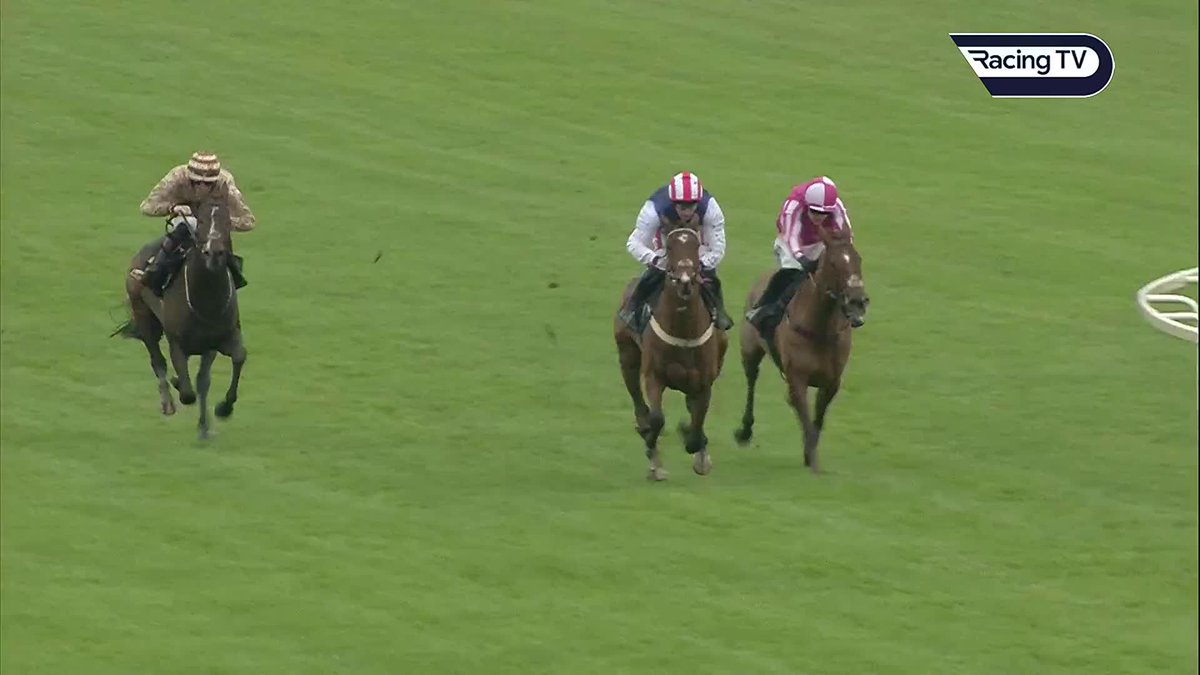 Another nice one for Harry Redknapp 👀 Taurus Bay 16/1 for the Turners following this smart win Aintree Racecourse | Ben Pauling Racing