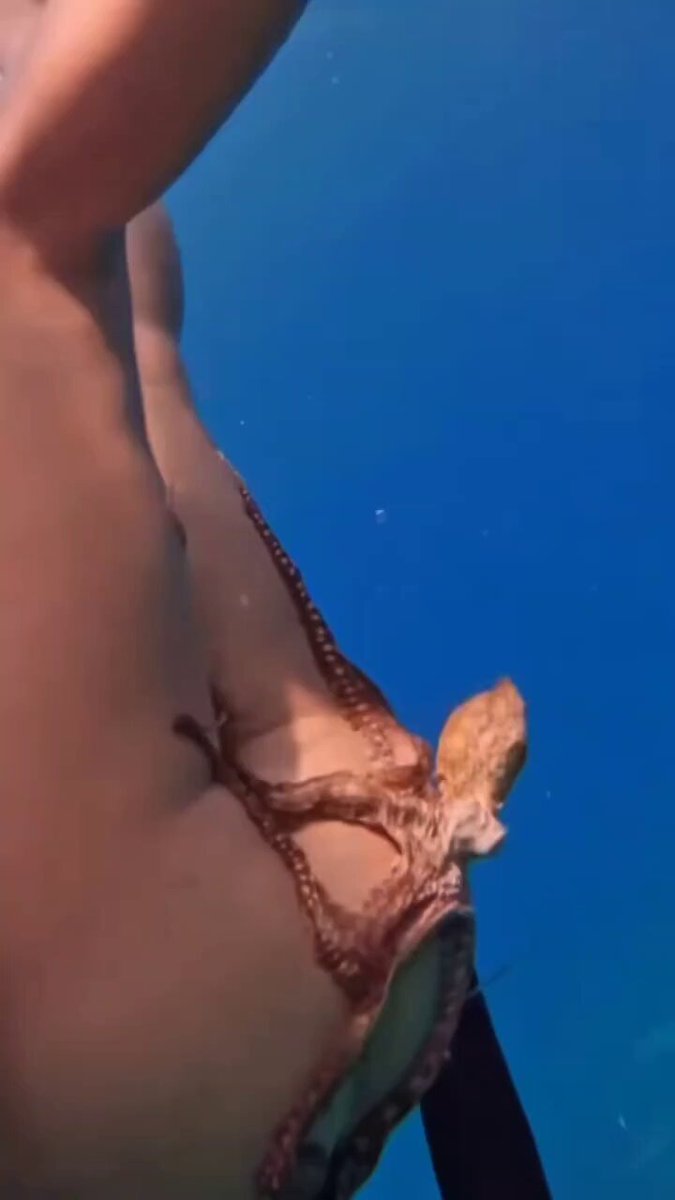 No jusguen al señor Pulpo, yo hubiese hecho lo mismo.