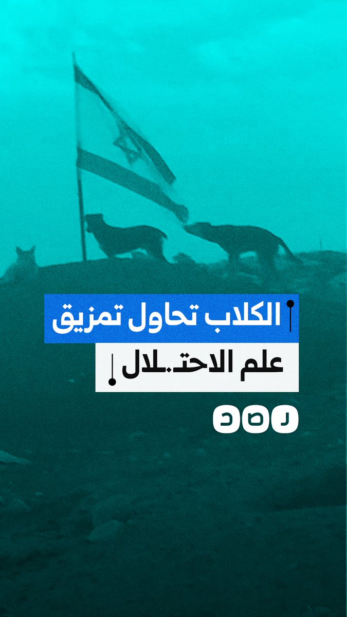 فيديو يوثق محاولة أحد الكلاب تمزيق علم الاحتـ.ـلال في بيت لحم بالضفة الغربية
