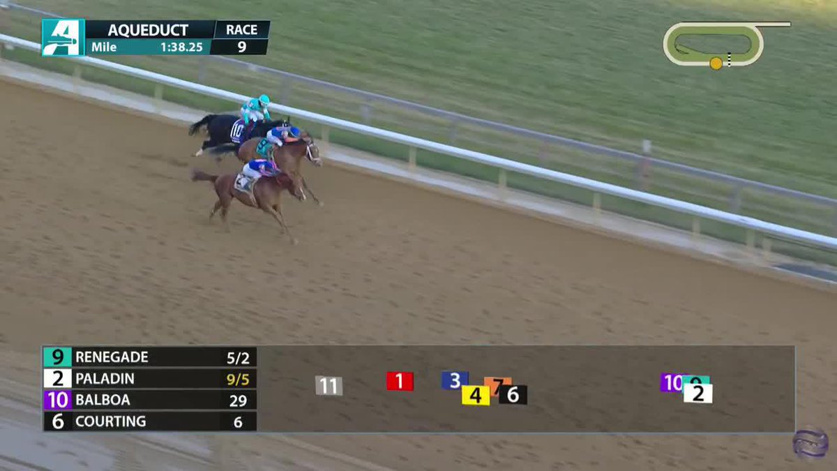 Paladin wins the G2 Remsen Stakes worth 10 points on the Road to the Kentucky Derby! 🌹
