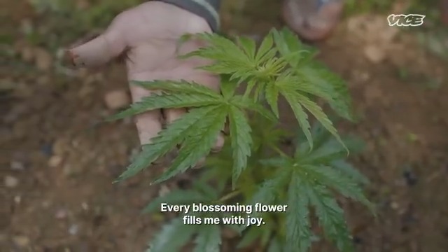 Every year Nepal legalizes marijuana nationwide for just one day. To Nepalese Hindus, cannabis isn’t just a plant—it’s sacred. During Shiva Ratri, over a million devotees gather to honor Shiva, the god of creation, by lighting up at Kathmandu’s holiest temple.