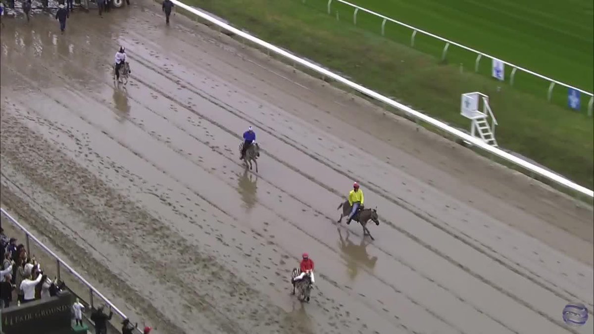 10 thoroughbred wins and a zebra dash for Paco López so far for the Fair Grounds Race Course & Slots meet! 🦓 Earn Your Stripes was quick out of the gates and bolts to outside, but hits the wire first in the Zebra Dash!