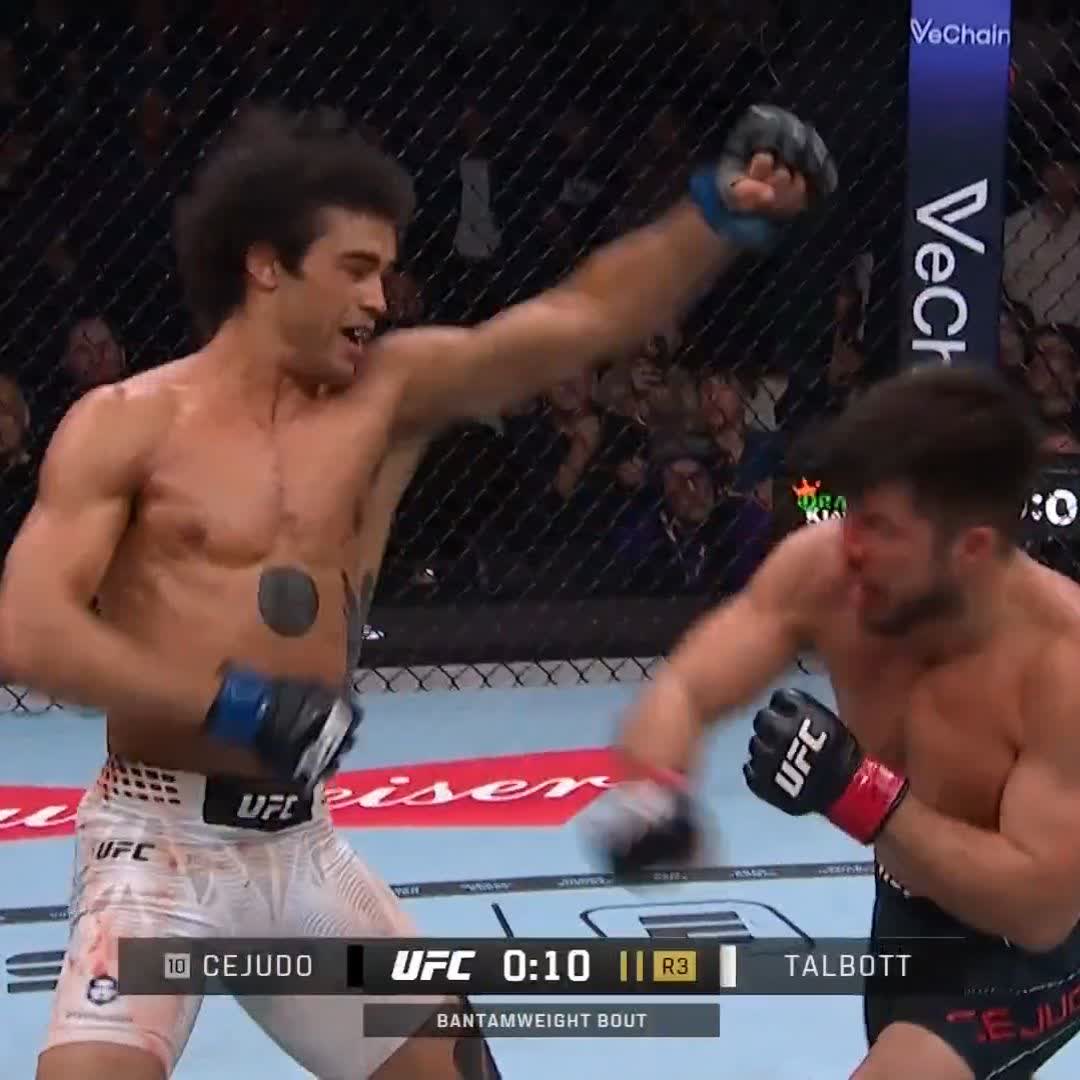 The point! 👆 What a fight it was, Henry Cejudo and Payton Talbott! #UFC323