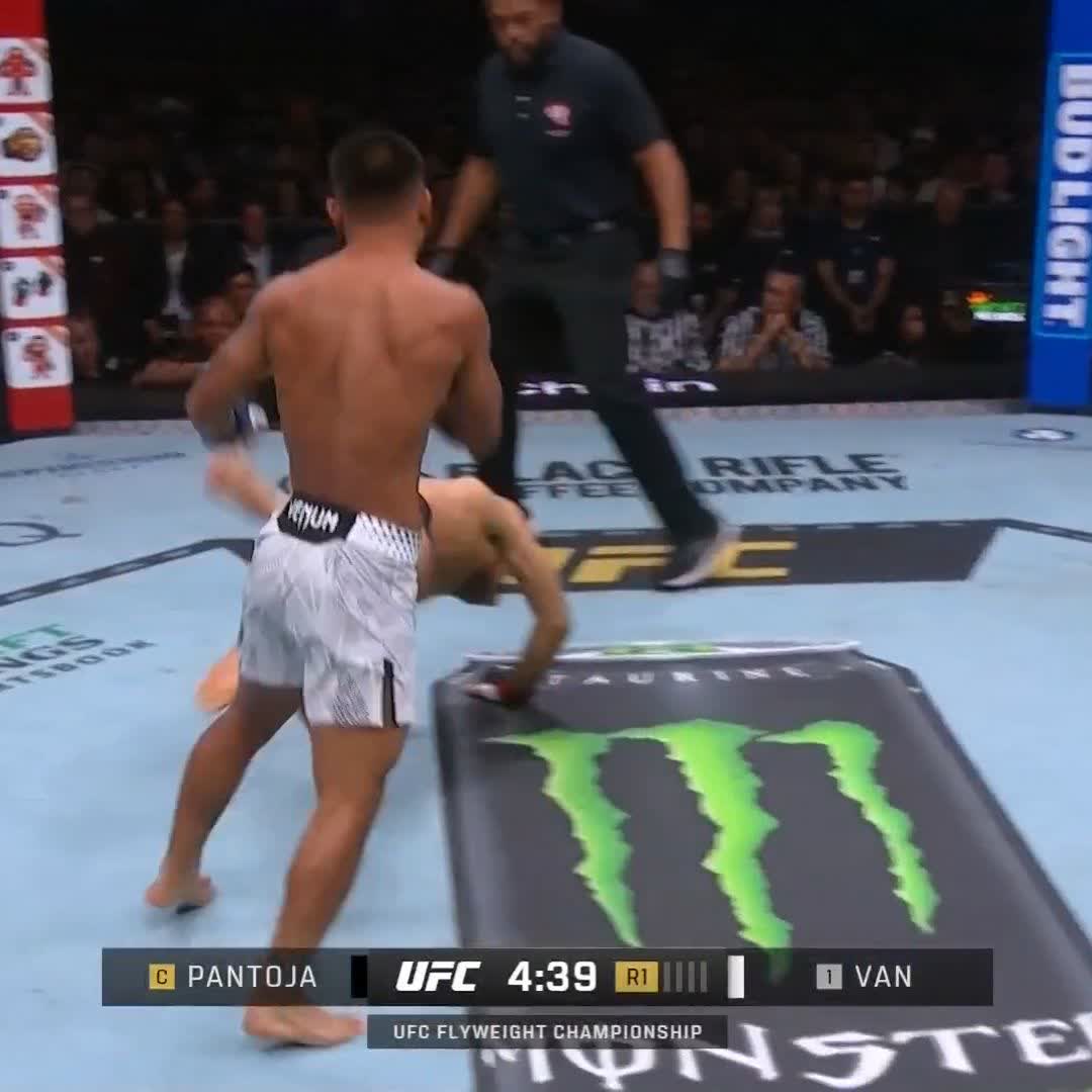 パントージャが腕を負傷しヴァンが1RTKO勝ち!王座獲得! #UFC323