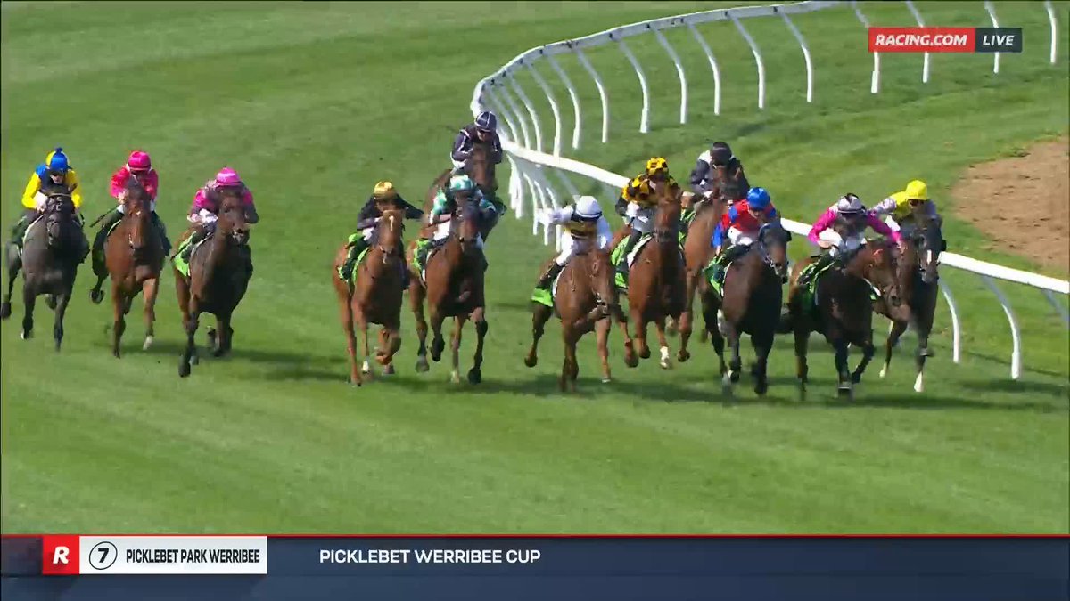 Werribee Cup I Dead heat Holymanz & Precious Charm could not be separated on the line in the Werribee Cup 🏆 It’s the first dead heat the race has ever seen. 📺 Ch. 78/68, Foxtel 529, Kayo or via our app REPLAYS:
