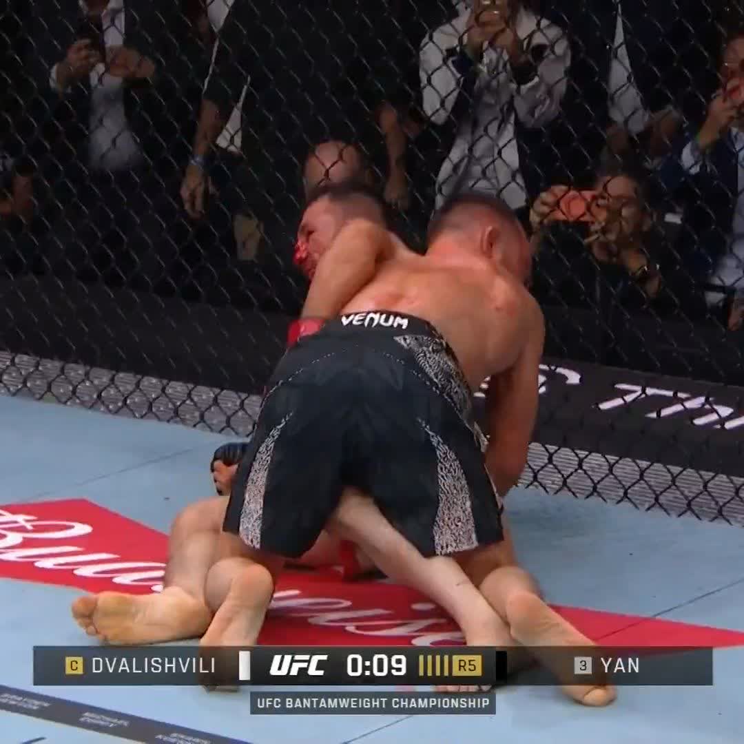 ヤン×メラブ 終了間際の攻防！ メラブは試合の後デイナと会話をする📝 #UFC