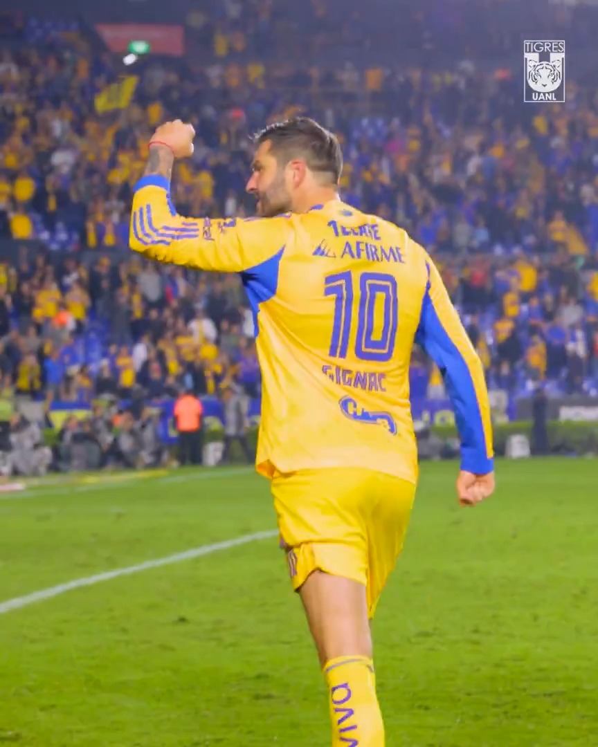 💛 ¡LA ALEGRÍA DE TIGRES Y SU HINCHADA!