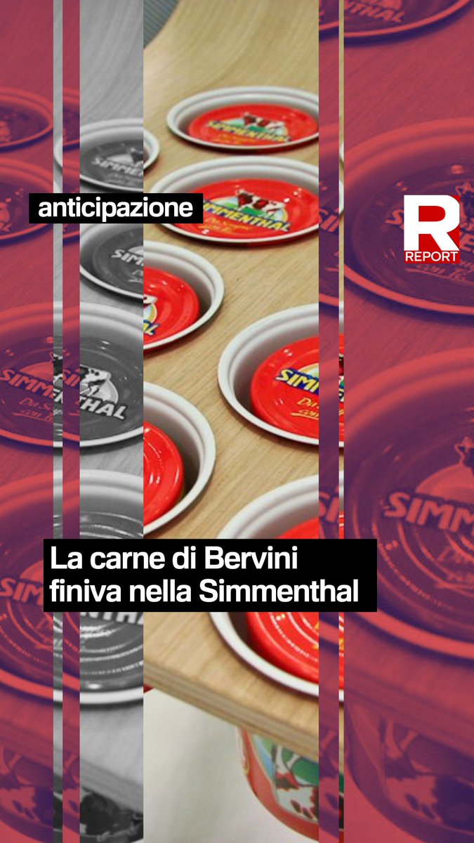 Abbiamo scoperto che la carne di Bervini rappresentava il 6,6% del totale acquistato dalla Bolton per la Simmenthal. Bolton ci fa sapere che ha deciso di sospendere temporaneamente la fornitura. #Report stasera 20.30 #Rai3