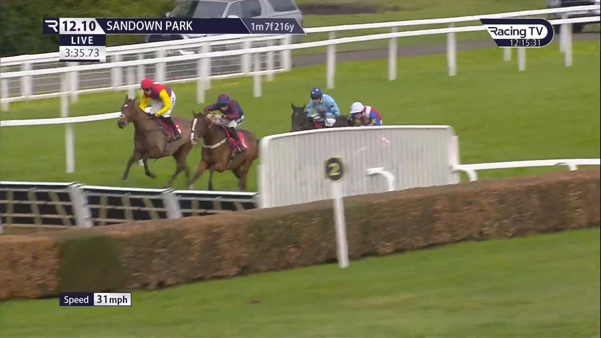 In other news, is this not better than anything MYDADDYPADDY has done 🧐 One is 5/1 for the Supreme, and the other is 25/1