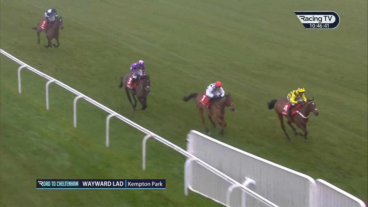 What do we make of Sir Gino probably going back over hurdles then? Surely its just a waste of what could be a proper Champion Chaser! What do you think?