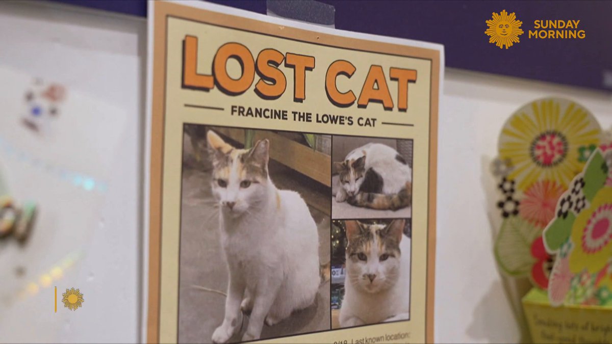 Francine the cat was a beloved fixture at a Lowe’s in Richmond, Va., until she suddenly vanished. Steve Hartman shares how manager Mike Sida and the Lowe's staff went to surprising lengths in hopes of finding her.