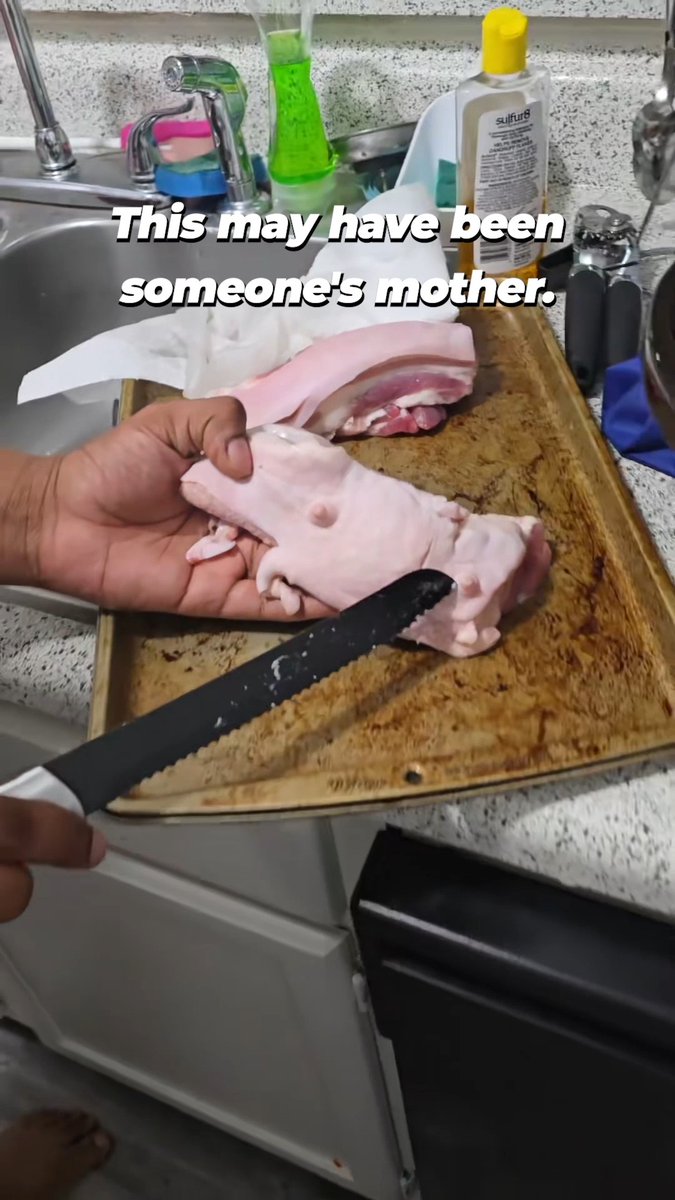 Weirded out that your meat is a body? 🤢 Maybe you should stop eating it.