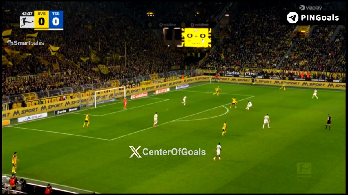 Julian Brandt 43' Bundesliga | 🇩🇪 Borussia Dortmund 1-0 Hoffenheim