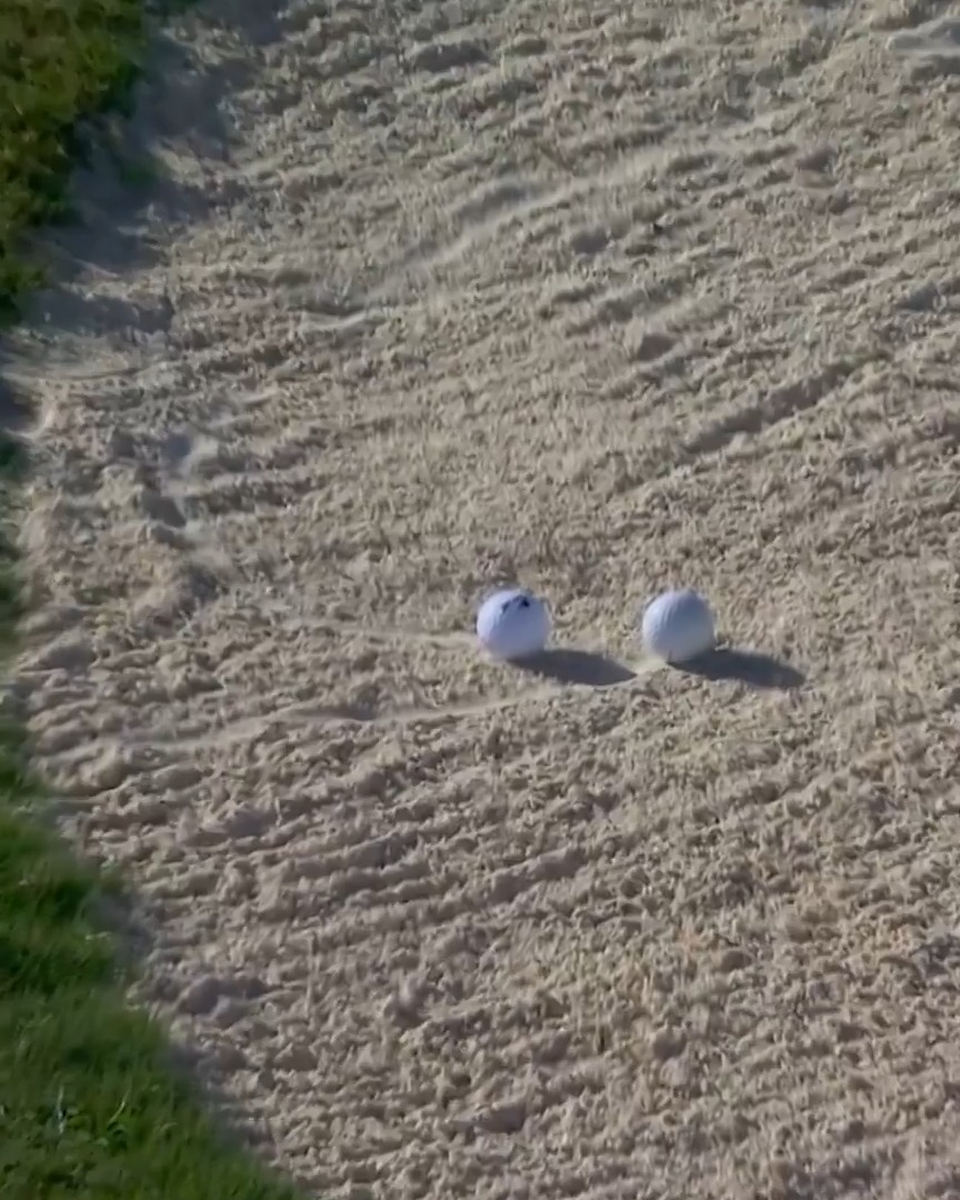 Winning is hard. Bunker to bunker for Sepp and Scottie leaves Hideki with the outright lead at the Hero World Challenge. 📺 NBC