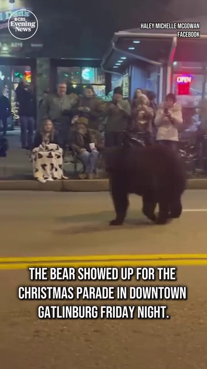 Some bystanders scattered, as a black bear walked down a street in Gatlinburg, Tennessee Friday night, where a holiday parade was set to take place.