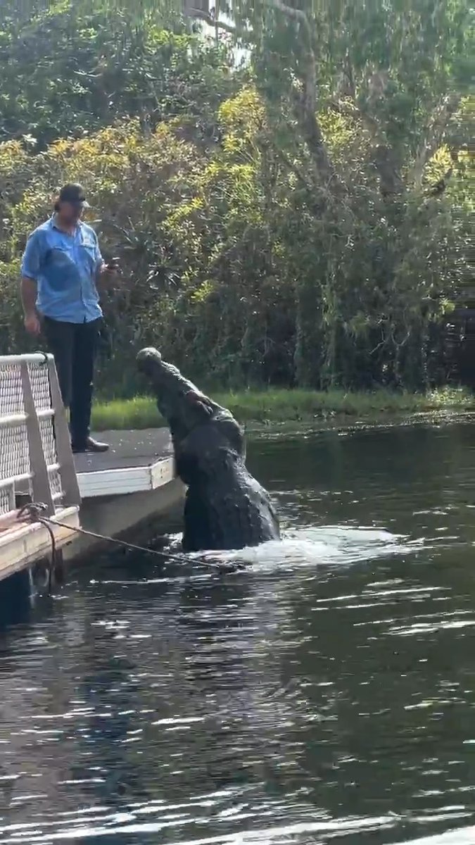 I almost thought it was fake