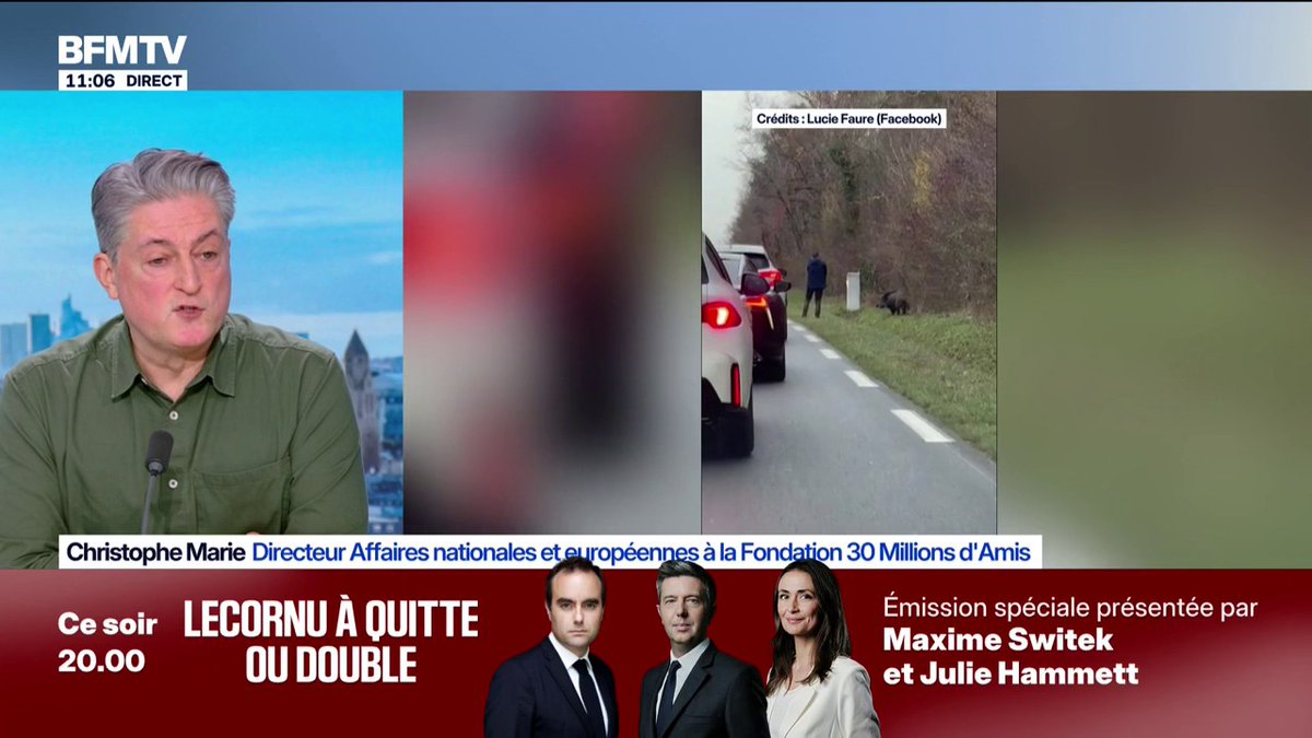 Tir sur un sanglier en bord de route: "Chaque année il y a des victimes de la chasse", déplore Christophe Marie de la fondation 30 Millions d'Amis
