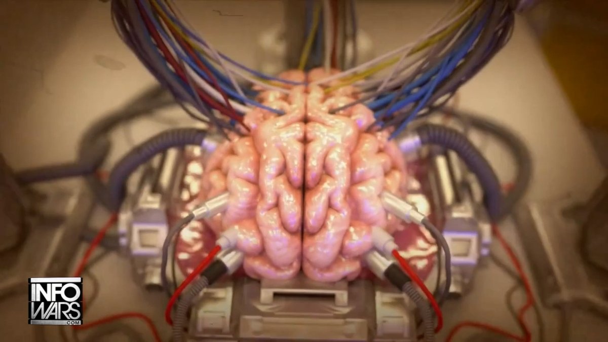 EXCLUSIVE INTEL: Neuralink Test Subjects Report Surfing The Internet, Watching Movies, Having Psychotic Nightmares, & MORE In Their Sleep! "Heard Of Sleepwalking? What Do You Think You're Gonna Do When You've Got Brain Chips In Your Sleep? Who's Gonna Hack Into Your Brain?"