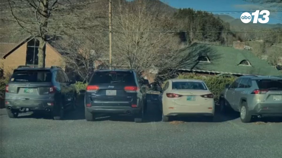 Today, Sylva Planning Board Member Geoffrey Hirsch submitted his resignation letter after a Tesla's dashcam caught him tossing a bag of dog poop on what turned out to be the Franklin Police Chief Devin Holland's personal car. Video credit: Sara Holland