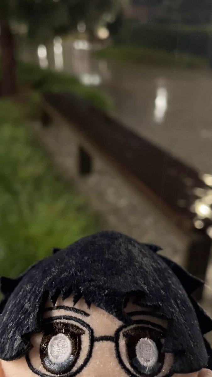 Rainy day vibin' ☔