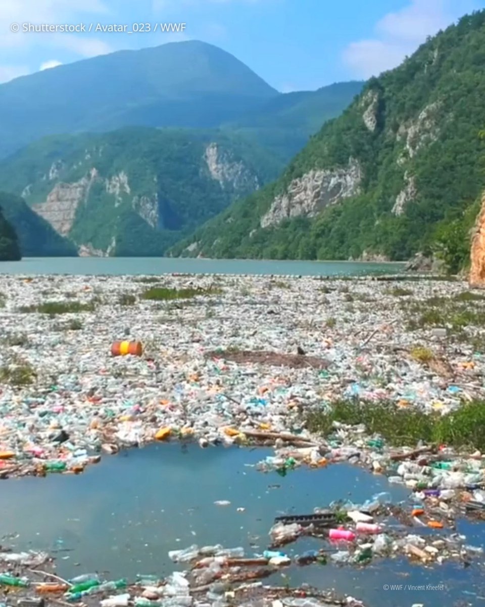 Our discarded plastic doesn’t disappear - it lingers, polluting our planet, and impacting people and nature🛑. But it’s not too late to act. Governments must act to #StopPlasticPollution. #UNEA7