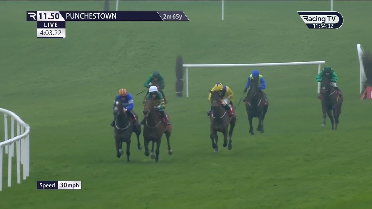 Born for fences 🟢🟡⚪️ Jimmy Mangan won this novice chase with Spillane's Tower in 2023 and Pure Steel follows suit, shaping like one to follow over fences. Matchbook Betting Exchange | Punchestown