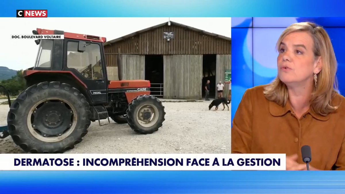« La semaine prochaine, lâUE doit signer les accords du Mercosur. Que vont-devenir les plus de 90 000 exploitations bovines ? Et en mĂȘme temps, des troupeaux entiers sont abattus si un seul bĆuf est malade de la dermatose. » Gabrielle Cluzel sur Face Ă lâInfo (CNEWS)