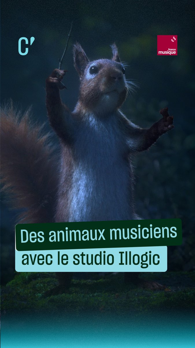 Avant que le “Loup mal-aimé” ne vole la vedette, un oiseau soprano et un écureuil chef d’orchestre ouvraient déjà la voie : en 2020, le studio Illogic dévoilait comment faire vibrer l’animation au rythme de la musique classique.