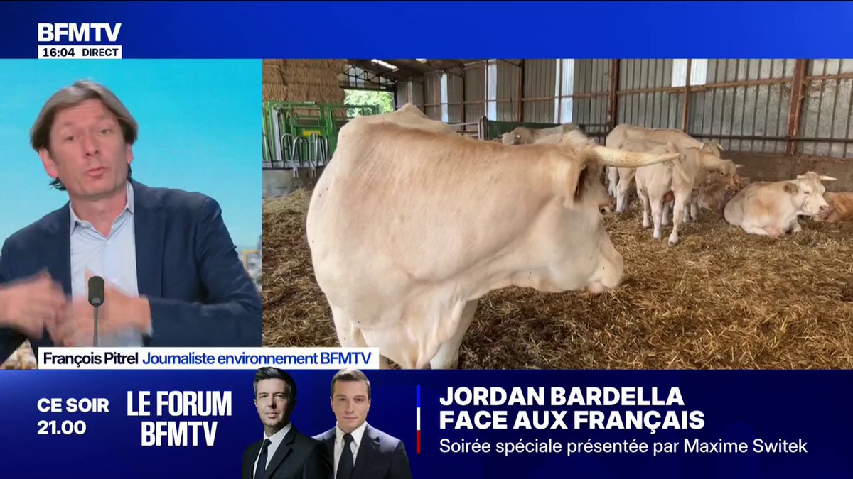 Mais comment peut-on croire qu’abattre tout un troupeau lorsqu'un cas de dermatose est détecté est une solution viable puisque la maladie se transmet par les insectes ? C’est de plus en plus absurde. #DNC #Agriculteurs #MacronDémission