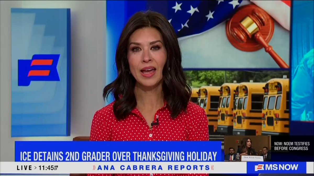 Host: In Vermont, a community has been left shaken after a second grader and his mother were detained by immigration officials during a trip to visit family over the Thanksgiving holiday. When that 7-year-old didn't return to school, district officials learned the pair had been taken into federal custody after making a wrong turn that led them to an immigration checkpoint. They're now being held at a Texas detention facility.