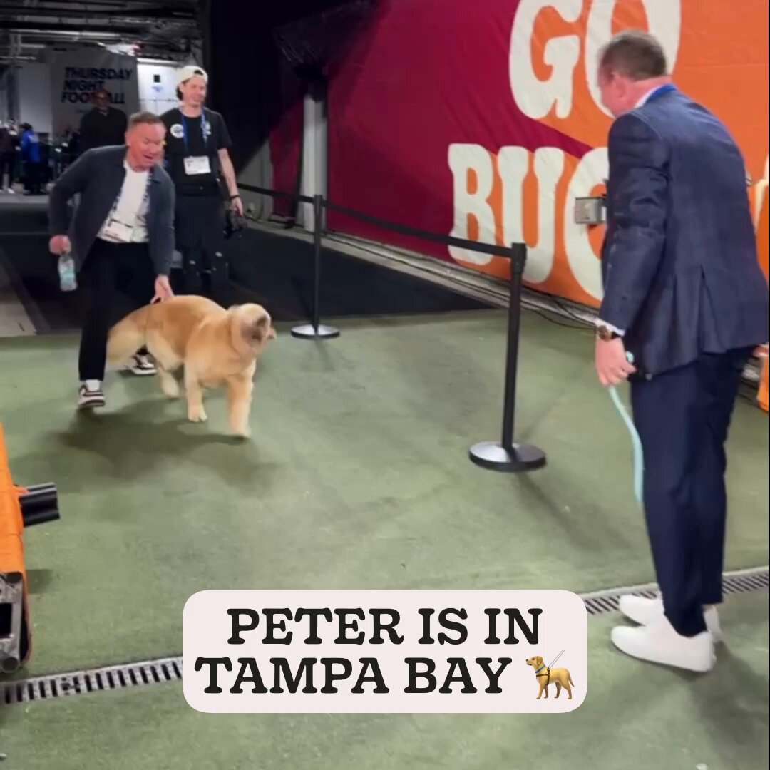 There’s a good boy at Raymond James Stadium tonight 🐶
