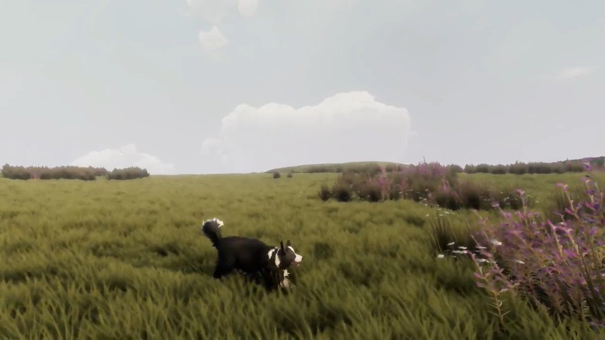 モフモフの牧羊犬になって広大な大地を駆け巡る『The Free Shepherd』が初公開。2027年にPS5®で発売予定。 迷子の羊の群れを導いたり、謎に包まれた災いを発見する。 #TGA2025