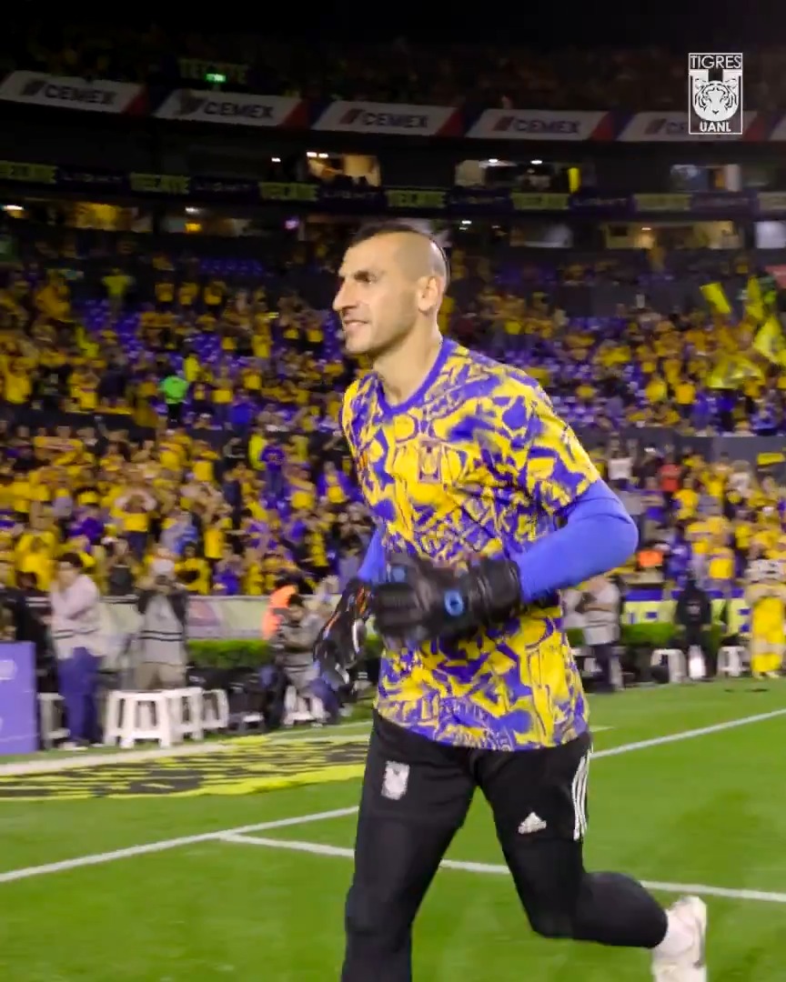 ¡Los Tigres de México a escena! 🐅
