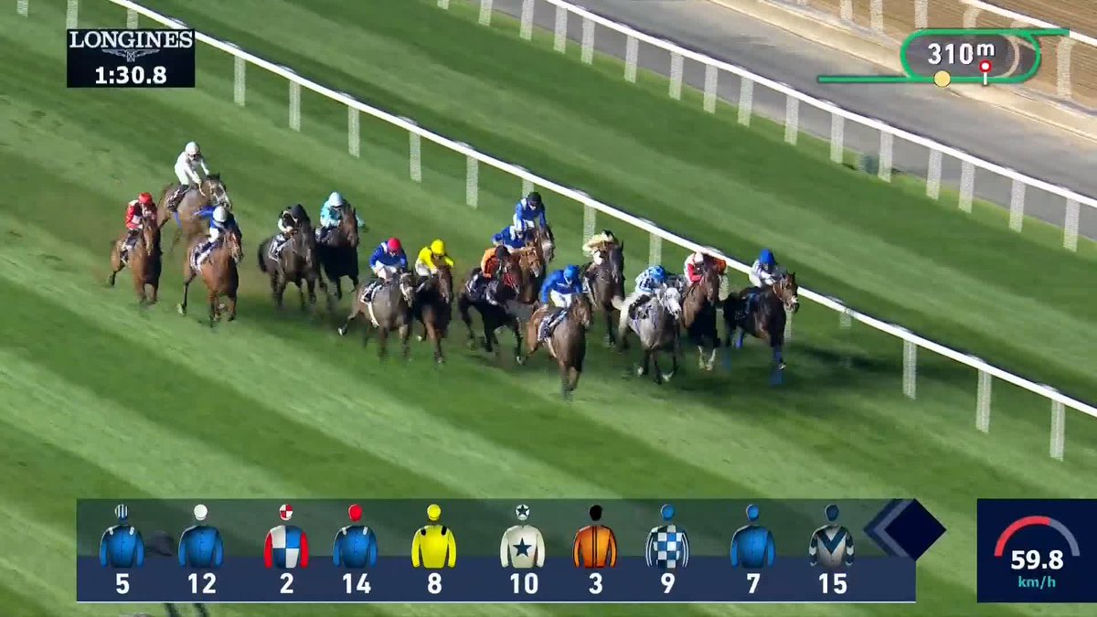 𝐒𝐈𝐋𝐕𝐄𝐑 𝐒𝐖𝐎𝐑𝐃 slays his rivals in the Palm Beach Towers Handicap - the first Turf race of this season's #DubaiCarnival ⚔️ Dylan Cunha Racing LTD | George Wood