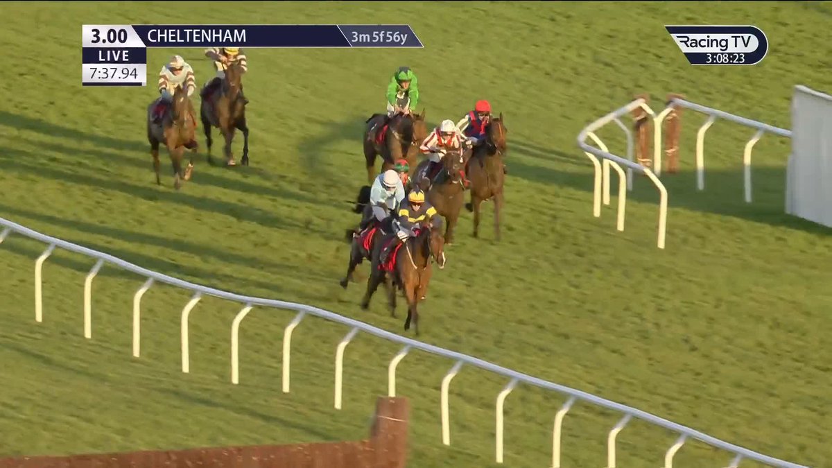 👏 Keith Donoghue is a cheat code around that Cross Country course at Cheltenham. FINAL ORDERS gives Gavin Cromwell a welcome winner!