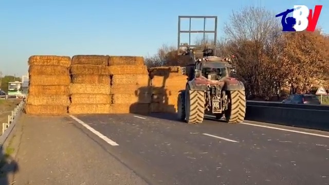 Un mur de paille pour bloquer l’autoroute ! Pour protester contre la politique sanitaire en matière de lutte contre la dermatose, ces agriculteurs bloquent l’autoroute A64 avec des bottes de paille. 📸 : Jean Bexon