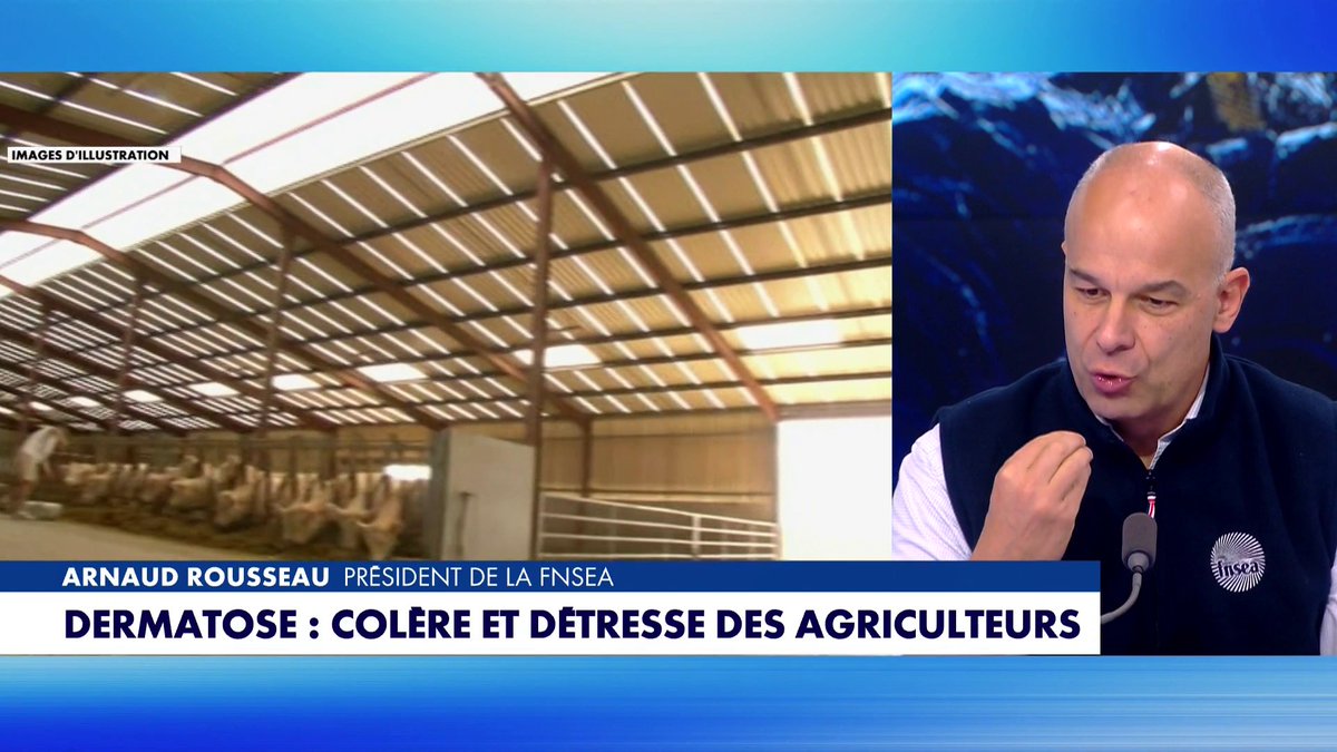 Arnaud Rousseau, Président de la Fédération nationale des syndicats d'exploitants agricoles, sur la dermatose dans #PunchlineWE : «Les épidémiologistes disent que l'abattage partiel ne tient pas la route»