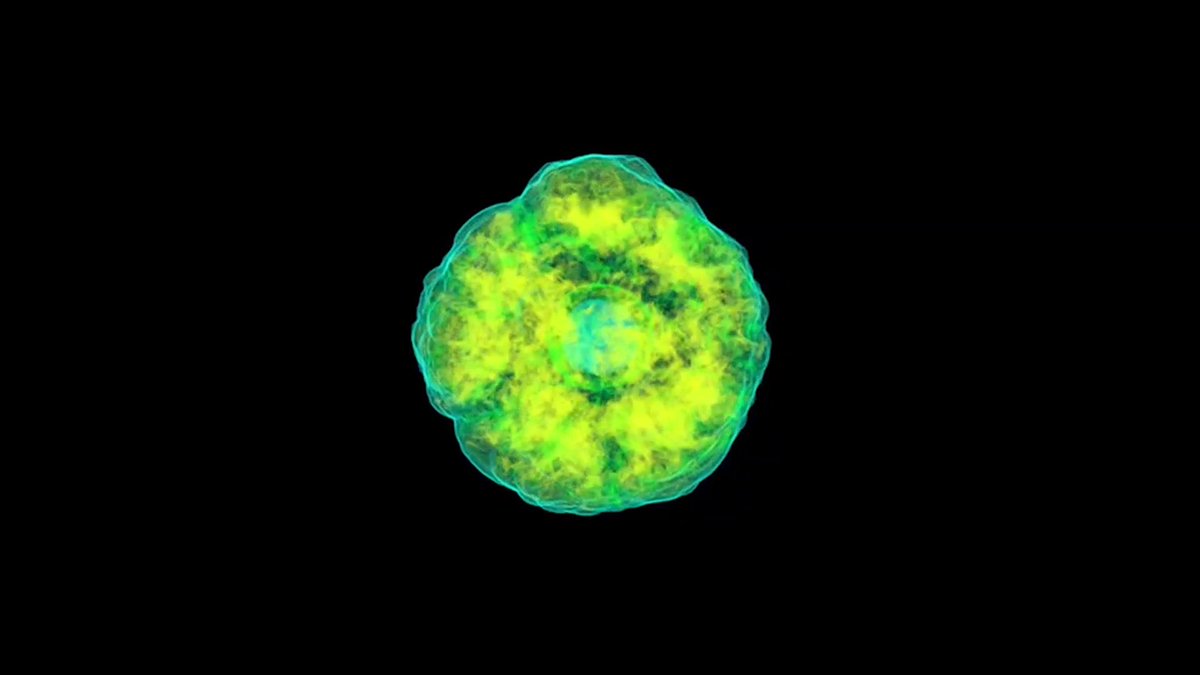 What does a supernova look like? This visualization simulates the first 150 milliseconds of a supernova. As the star collapses in on itself, hot gas emits from its core in uneven shock waves. Researchers use computer simulations like this to more accurately understand the events of a dying star.