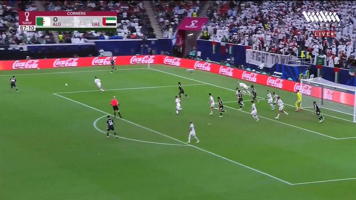 لوكاس بيمنتا يهدر هدف التقدم للأبيض وحماس المشجع 🇦🇪🔥 تابعوا المباراة وباقي المواجهات في #كأس_العرب_على_شاشا 🏆💫 شاهد الآن مجاناً وبدون تسجيل دخول 📺